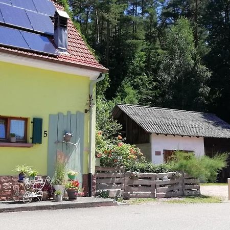 Dambach Violetaヴィラ エクステリア 写真
